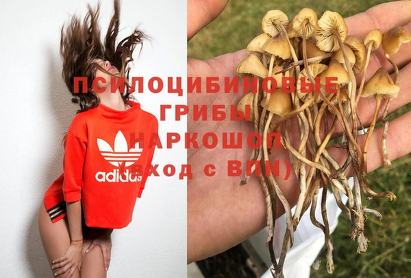 круглые Алагир