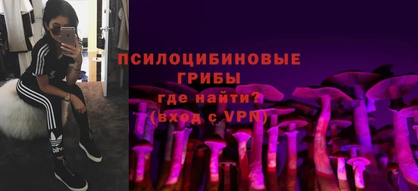 гидропоника Абдулино