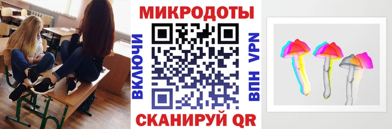 Псилоцибиновые грибы Psilocybine cubensis  Новокузнецк 