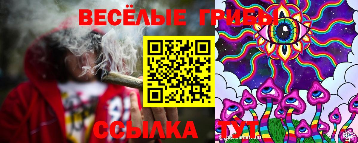 Галлюциногенные грибы MAGIC MUSHROOMS  дарнет шоп  Галлюциногенные грибы прущие грибы  Новокузнецк  Вход с VPN 